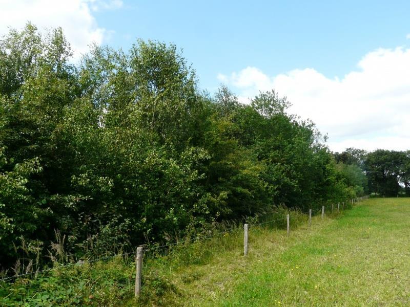 Toelichting aan te leggen houtwal/ -singels Houtwal/houtsingel: Het is een lijnvormig landschapselement, al dan niet op een aarden wal, met een opgaande begroeiing van inheemse bomen en struiken.