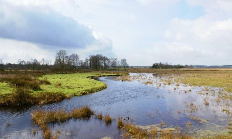 Nationaal Park Drents-Friese Wold - Sinds 2013 bezig met bijeen brengen drie natuurkernen( Dwingelderveld, Holtingerveld en