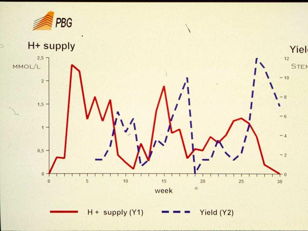 Fluctuaties bij roos NH 4 / NO 3 verhouding snee NH 4 in voedingsoplossing Netto HCO 3 productie snee snee Oogst stuks/m2 Zeer snelle