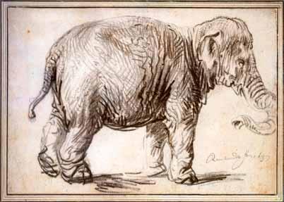 Het olifantje was een geschenk van de keizer van Ceylon aan de Prins van Oranje. 1634 Een olifant in Rijswijk Claes Jansz. Visscher, Een Kasuarisvogel, 1614-1615.