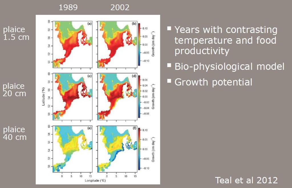 Klimaatverandering en vis