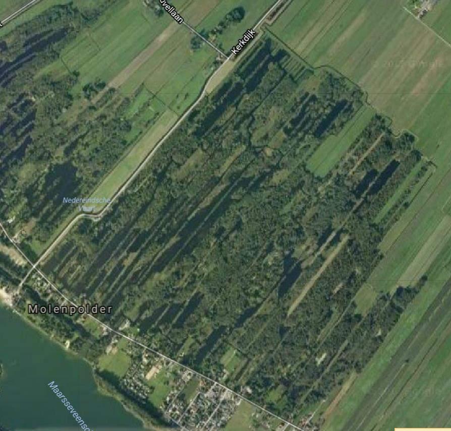 Bladinval van bomen: Geen opvallende verandering in bomen op de legakkers (obv luchtfoto`s) Wel