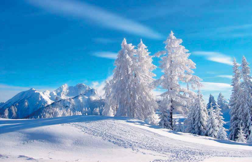 sneeuwzekere vakantie. Finland, uitdagende bestemming in opkomst Finland wordt steeds populairder als wintersportbestemming.