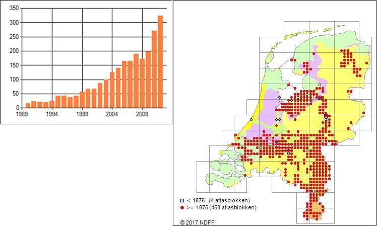 Een vertegenwoordiger van de provincie is aanwezig geweest bij de bestuursvergaderingen van de FBE en daarnaast is er wekelijks overlegd op ambtelijk niveau.