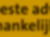 Niet alleen de hypotheek Wij zorgen er niet alleen voor dat u de beste hypotheek krijgt, wij zorgen ook voor de verdere