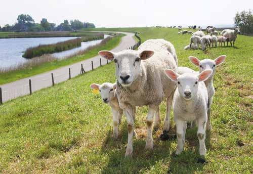 24 5. OVERIGE BEPALINGEN Bouwbesluit In het kader van het Bouwbesluit worden ruimten in de woning anders benoemd dan in de kopersinformatie is vermeld.