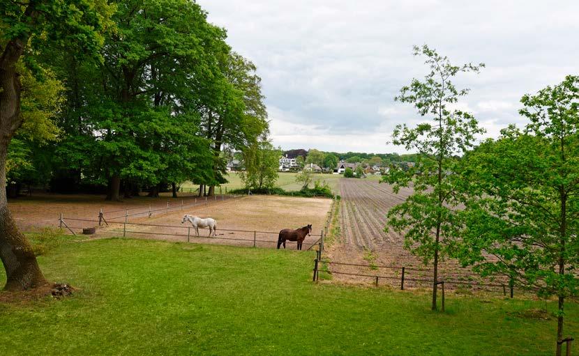 Hellendoorn Hellendoorn is een gemeente en een dorp in de Nederlandse provincie Overijssel op/bij de grens van Salland en Twente. De gemeente telt zo n 39.