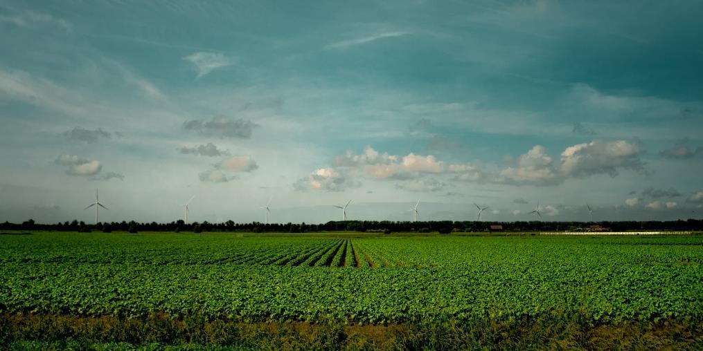 N a t u u r l i j k! V e r b o n d e n Dit is het grootste deelgebied binnen de Hoeksche Waard. Het betreft het grote, relatief open agrarische landschap.