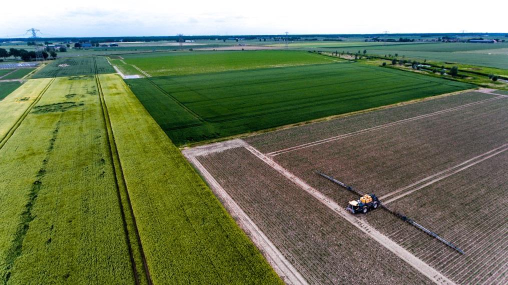 Het open agrarisch landschap wordt doorsneden door een fijnmazig systeem van kreken en dijken.