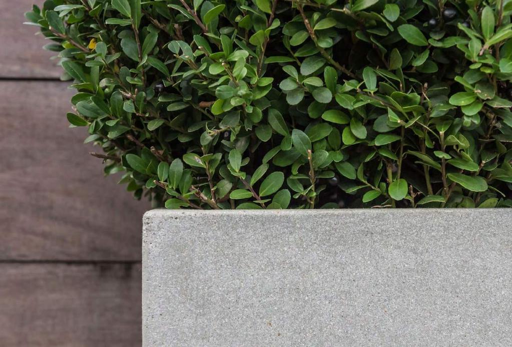 stone ficonstone The stone collection is a small collection of bestsellers with a recognizable finish. The surface of the planters feel like coarse sandpaper.