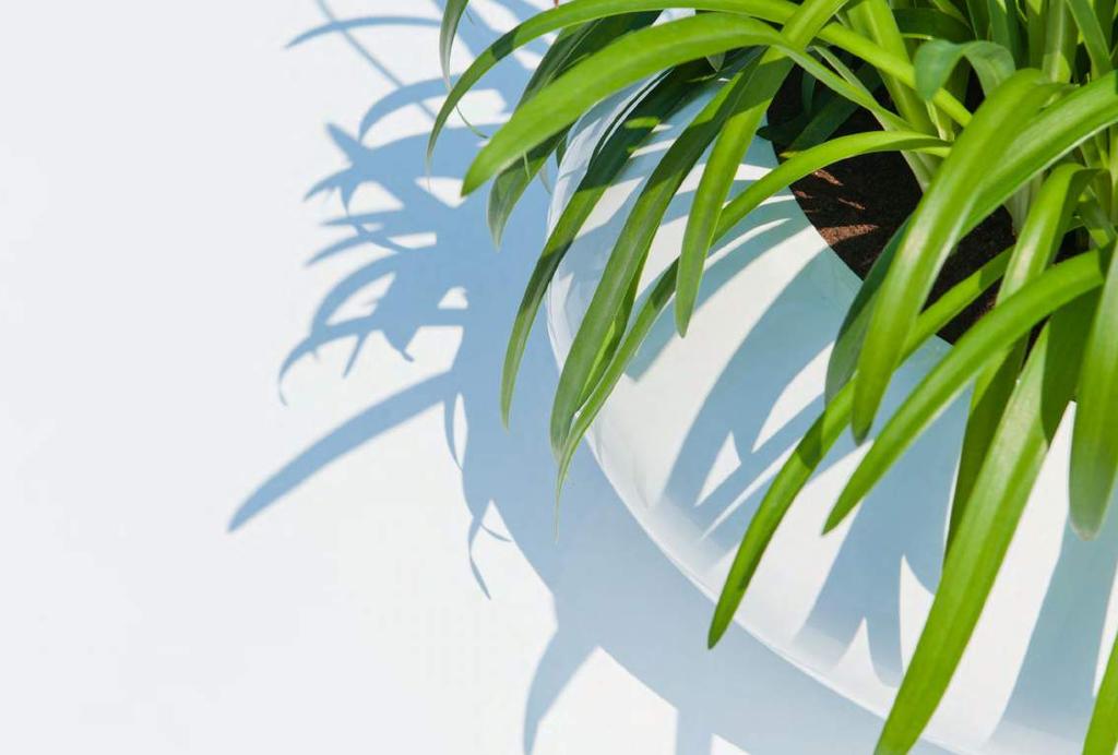 essential fiberstone The essential collection consists of a wide range of basic and design planters all recognizable for their simple and clever design in either a glossy or matte painted finish.