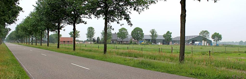 en beplanting op het ten zuidoosten gelegen erf; daarna toont zich de zuidoostkant en zuidwestkant van het plangebied enige tijd aan het verkeer.