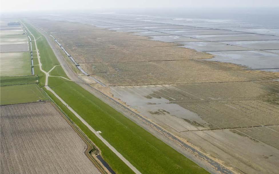 De uiteindelijke rol die de partners werkelijk zullen vervullen in de QRF is afhankelijk van het verdere verloop van onderzoeksprojecten verwant aan de QRF Emmapolder en de