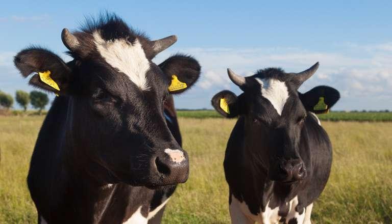 WEES DE BAAS OVER JE CAMERA 7 Kan jij blind de knopjes en functies vinden op je camera? Weet je waar alle functies voor dienen?