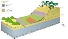 met bepaalde vrijheden) - Generieke analyses Geohydrologisch