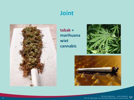 Een(joint.(Wat(zit(er(in(een(joint?( Tabak(gemengd(met(de(drug(marihuana((synoniem(wiet(of(cannabis).