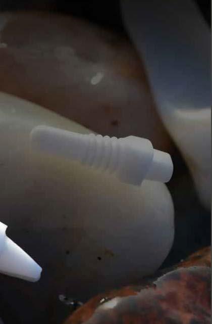 100% ceramic DE MONDGEZONDHEID ultra-biocompatible Welkom bij DENTALBA Uw tandtechnisch labo bekwaam in keramische restauraties op implantaten.