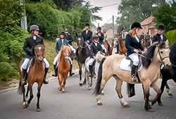 com Carnavals, optochten, lokale feesten en processies laten ons het hele jaar populaire tradities ontdekken.