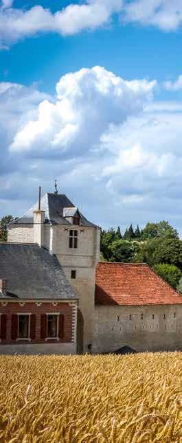 Deze wandeling van 9 km neemt u mee in de sporen van de witte steen van Gobertange en biedt panorama s van een mooi platteland en einder reikende velden.