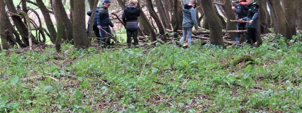 Intussen had Seth al meer dan 40 paddenstoelen geteld, die de kinderen hadden