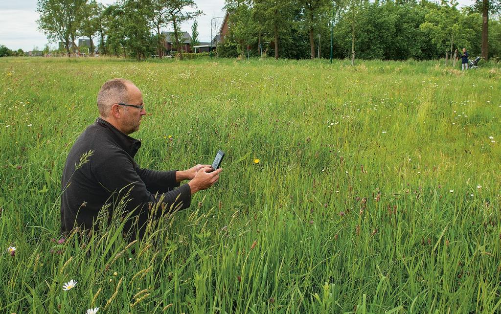 Jan van Ruiswijk determineert kruiden in het grasland met de app PlantNet. foto Hans Dijkstra/gaw.nl Bodemstructuur van kruidenrijk grasland.