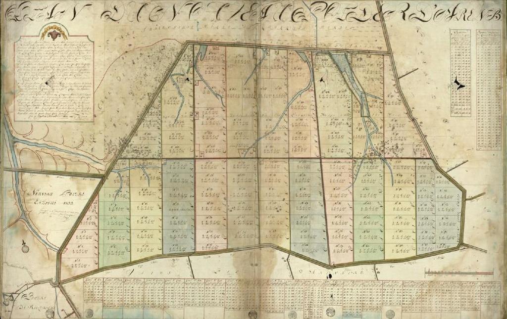 Figuur 10: Verkavelingsplan van de Nieuw-Arenbergpolder, 1806 (ARA, Kaarten en Plans II,