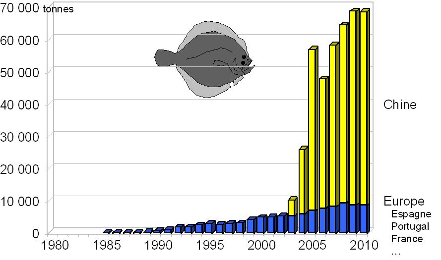 1. Introductie De tarbot (Scophthalmus maximus), ook wel Psetta maxima genoemd, komt van nature voor in de Europese wateren.