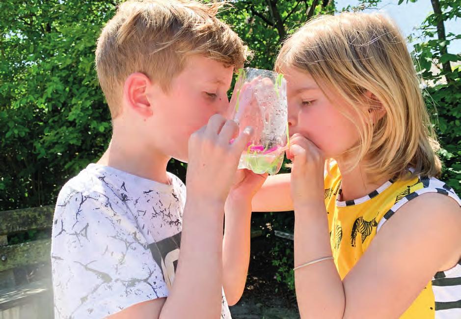 Voor ons is het van belang dat kinderen zien hoe prachtig en talentvol ze zijn. Wij willen hen meegeven hoe zij dit kunnen ontdekken. Op ons Kindcentrum leggen we het accent op groeien in het groen.