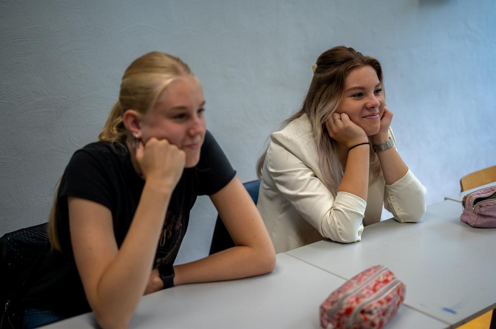 In het stagedossier zijn 3 voorbeelden van jouw werkplekleren verplicht. Minimaal 1 voorbeeld moet gaan over iets wat specifiek betrekking heeft op jouw opleidingsschool.