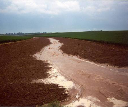 2. Maatregelen om sediment op te vangen dichtbij de akkers Grasbufferstroken In het hele gebied werden ongeveer 85ha grasbufferstroken aangelegd.