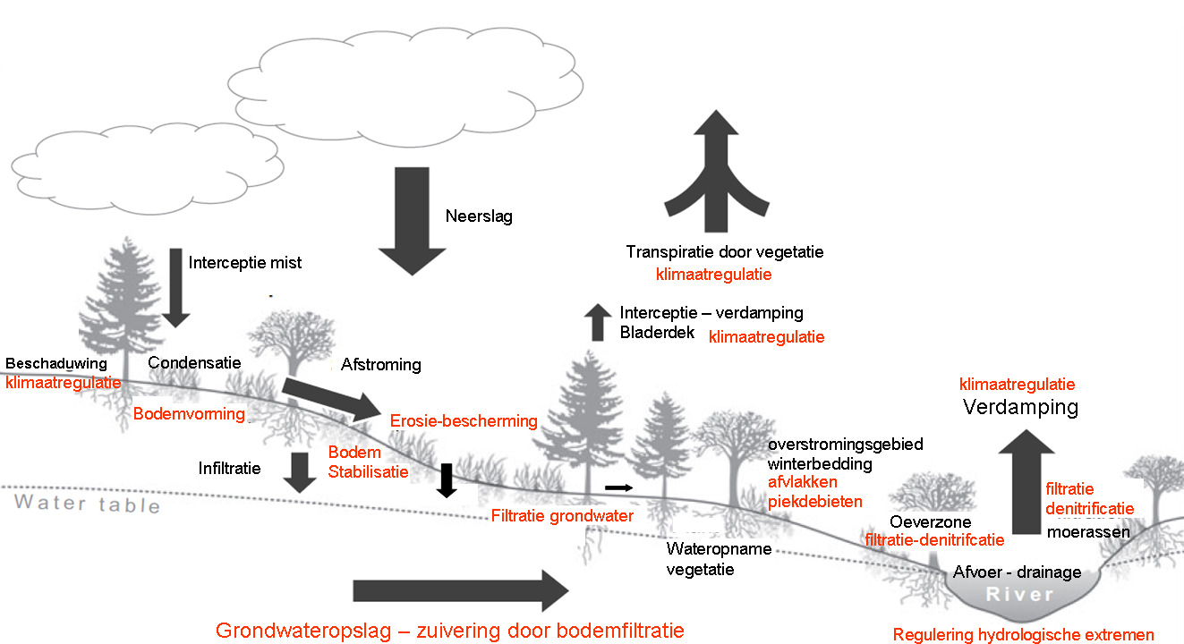 In dit hoofdstuk bespreken de hydrologische cyclus en tonen aan hoe deze aangetast werd en welke gevolgen dit heeft gehad.