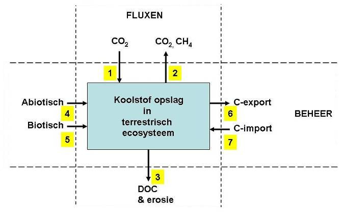 Figuur 3.3: Vereenvoudigd schema van de factoren die inwerken op de ESD koolstofopslag in terrestrische ecosystemen. Nummers verwijzen naar uitleg in de tekst.