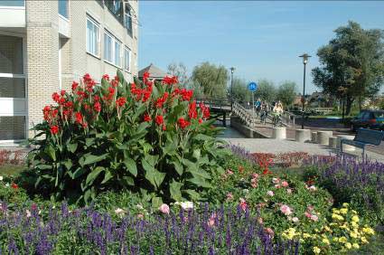 4 Het gebruik van vaste planten in de stad 4.1 Zones in de stad Vaste planten kunnen in steden en dorpen op allerlei manieren gebruikt worden.