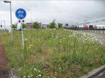 Zone 3: Tussen wijken Plaats: Groen tussen en om de woonbuurten. Wordt weinig bezocht, maar wel vanaf de fiets of vanuit de auto bekeken.