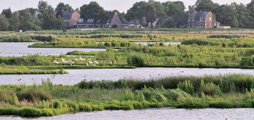 1 Inleiding De grote verscheidenheid is het meest wezenlijke kenmerk van natuur en landschap in Nederland.