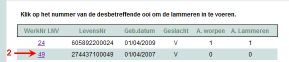 3.3 Werkwijze invoeren lammeren 1 Klik aan de linkerkant op Invoeren lammeren. Een tabel verschijnt met de gedekte ooien.