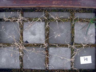 -% gedroogde stekgrond) vervuild, uitgezonderd twee stroken poreuze betonstraatstenen.