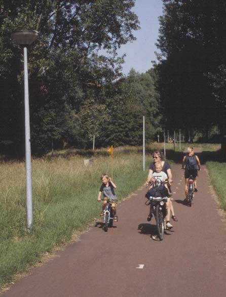 Wanneer openbare verlichting noodzakelijk is, worden aan de verlichtingsinstallatie vervolgens speciale eisen gesteld om de lichthinder te beperken, b.v. door lage armaturen te gebruiken en de lichtstraal meer neerwaarts te richten.