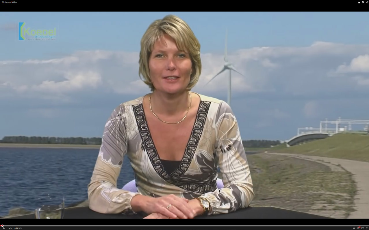 Windpark Noordoostpolder bestaat uit 86 windmolens, waarvan 48 in het water en 38 op het land. Werkgelegenheidseffecten worden verwacht op gebied van bouw, exploitatie, onderhoud en reparatie.