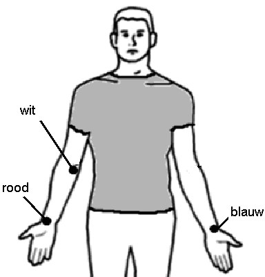 Practicum 5: ECG Tijdens elke hartslag, worden alle 6 miljard cellen van het hart in een vaste volgorde geactiveerd (zie figuur 28). De dipolen leggen dus ook deze vaste volgorde af.