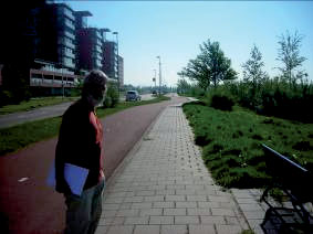 8 Figuur 2.2. Beeld van proefstroken in Barendrecht, 2008; links zone C-E, rechts zone B. 2.1.