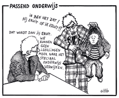 Bron: ouderplatformverontruste ouders.blogspot.nl met partiële gebreken zoals dyslexie en dyscalculie. Deze differentiatie was op zich logisch.