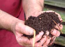 Een voorbeeld van groen materiaal Een voorbeeld van bruin materiaal Een handvol rijpe compost In een groenregio organiseert de IGV, naast inzameling op het recyclagepark, ook ophaling van tuinafval