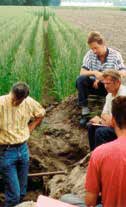 horen dat onder heide of eiken-berkenbos is ontstaan.