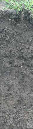 gangbare zavelgrond Zonnehoeve Ter Linde Hondspol Vijfsprong oude zandgrond Zes
