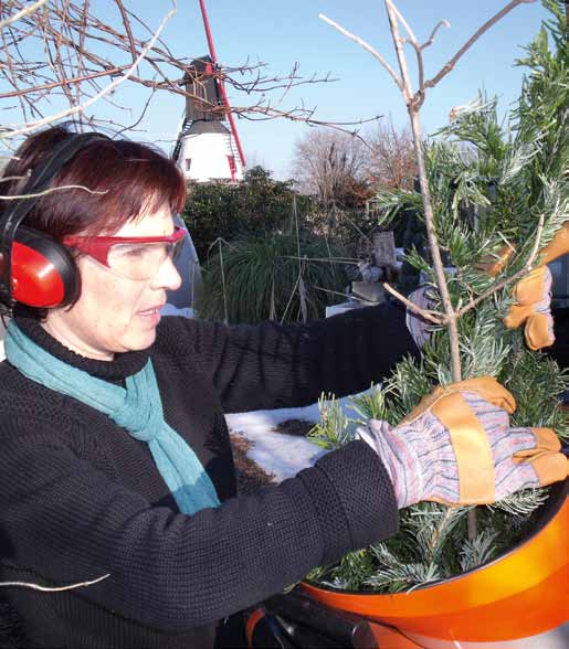 Veiligheid bij het gebruik Alle tuinhakselaars zijn uitgerust met een aantal veiligheidsmechanismen.