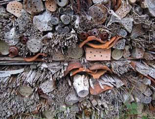 Insectenhotel Zowel de gaatjes in het hout als de holle pijpjes worden in het voorjaar snel ingenomen door solitaire bijen. Zodra hun eitjes zijn gelegd, stoppen ze de gaatjes dicht.