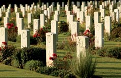 Militaire begraafplaatsen Ongeveer 100.000 soldaten (rond de 40.000 geallieerden en 60.000 Duitsers) zijn tijdens de gevechten in de zomer van 1944 gesneuveld.