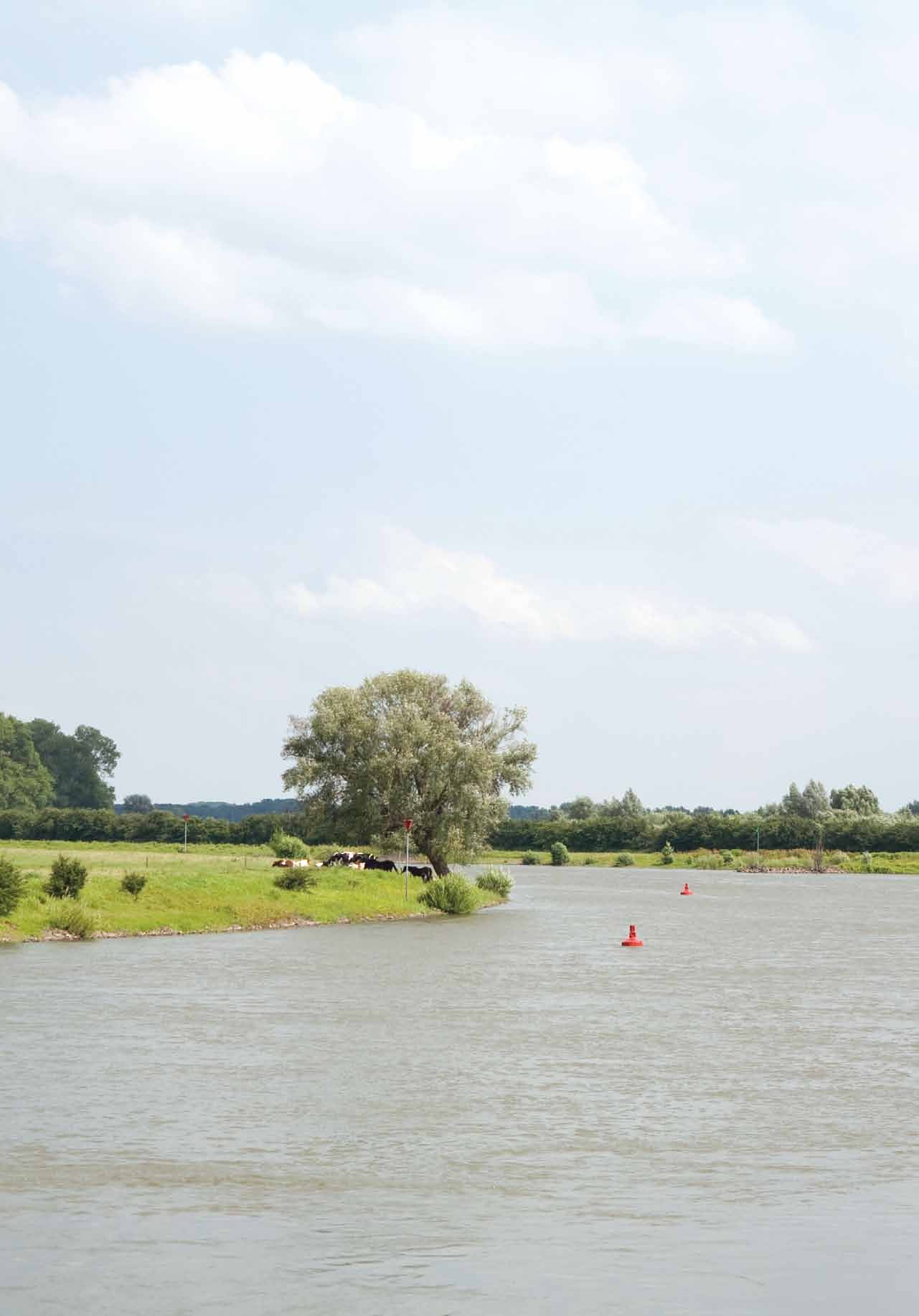 VOORWOORD 5 H01 Productieve landbouw, schoon water 7 Geert R. de Snoo, Martina G. Vijver & Kees Musters H02 Vijftig jaar na Dode Lente 15 Geert R. de Snoo & Martina G.