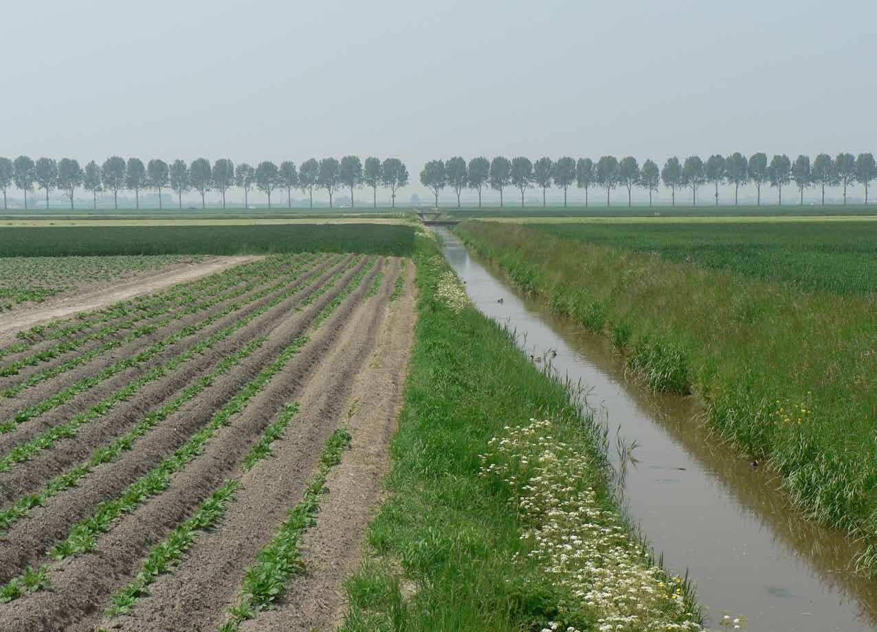 aan een enquête door het Centraal Bureau voor de Statistiek (CBS, ijkjaren voor oppervlakte gebruik per vierkante kilometer zijn 2000 en 2004.).